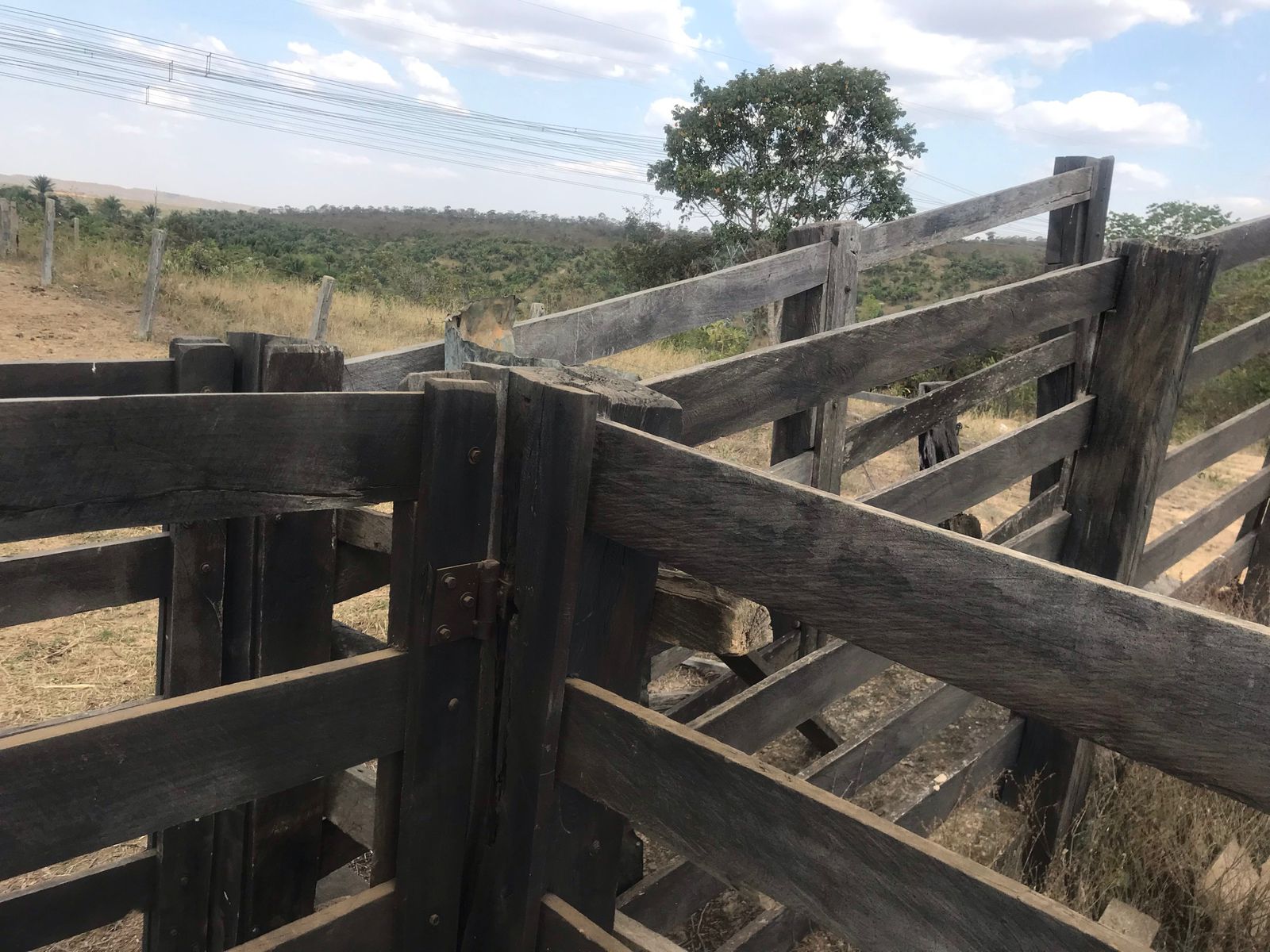Fazenda 1 - curral