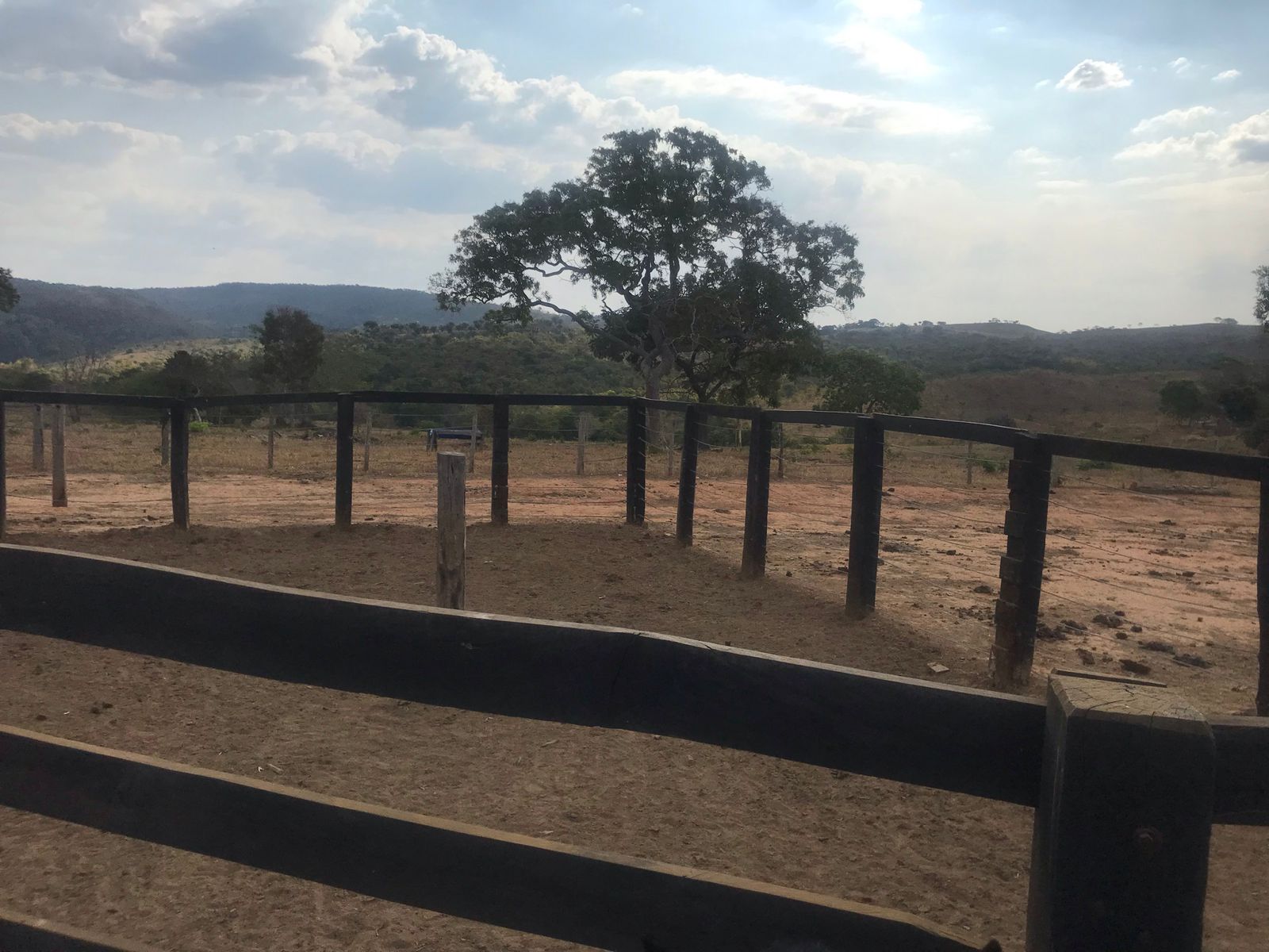 Fazenda 1 - piquete