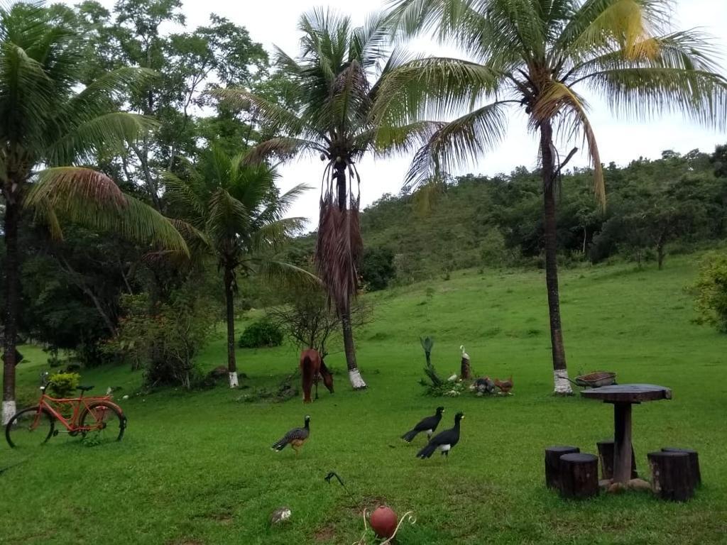 Fazenda 2 - área verde